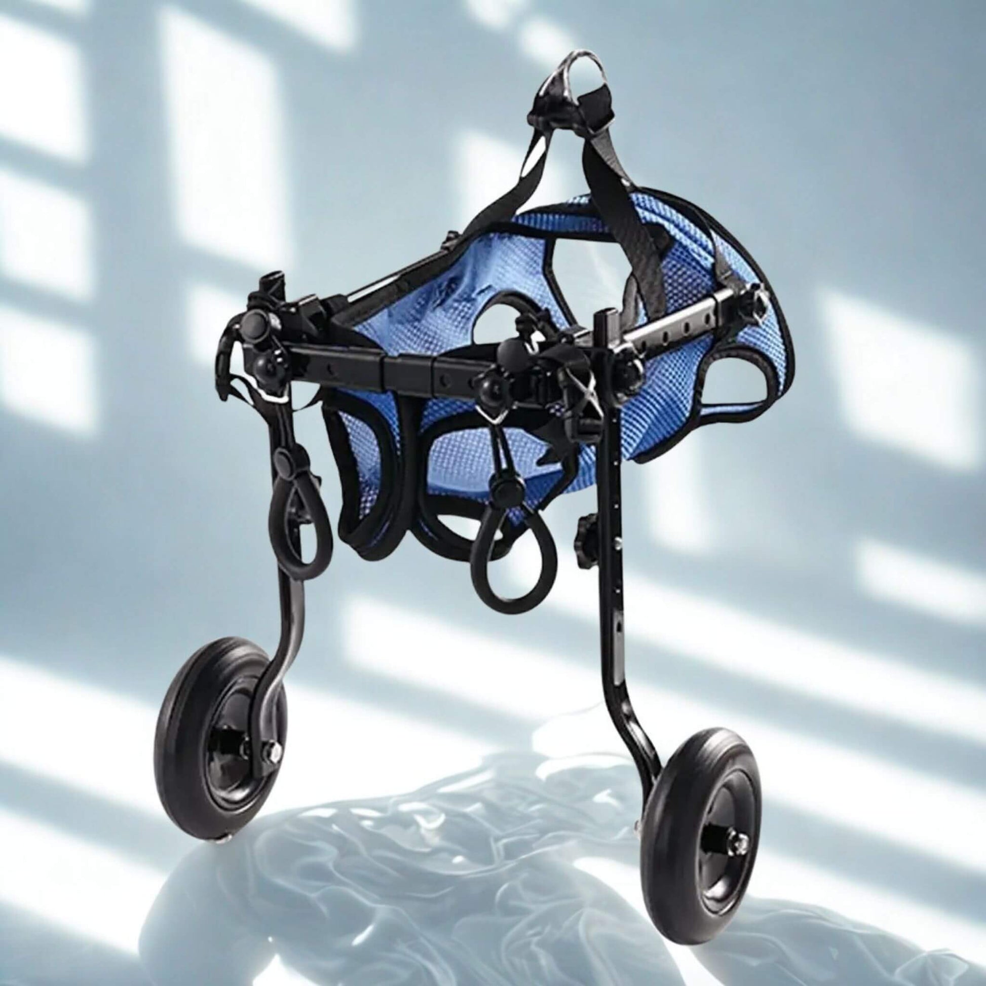 Un chariot pour chien handicapé de couleur bleue avec deux roues arrière