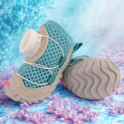 chaussure chien couleur turquoise