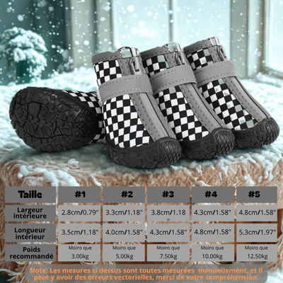 chaussure chien noir damien tableau grandeur