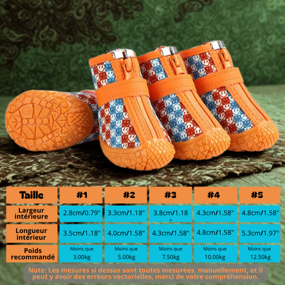 chaussure chien orange avec motif bonhomme sourire tableau grandeu