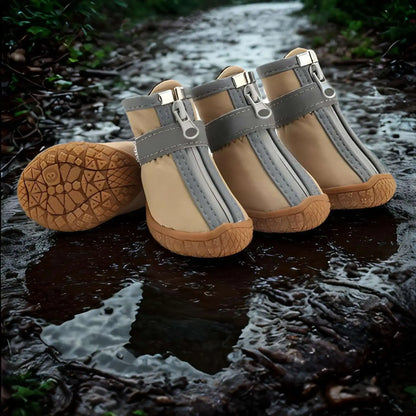 Chaussure chien de couleur jaune terre sur un rocher trempé.