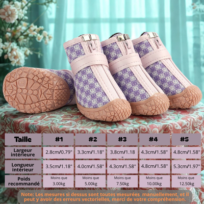 chaussure chien violet motif tableau grandeur