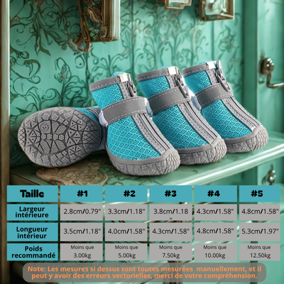 chaussures pour chien respirant couleur turquoise
