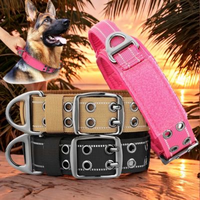 chien collier de dressage choix 3 couleur