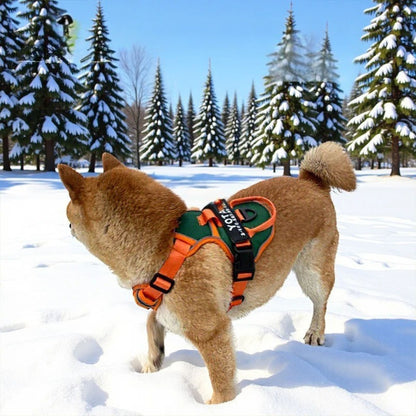 Chien Harnais| Flexipaws™️ - Jolianimaux