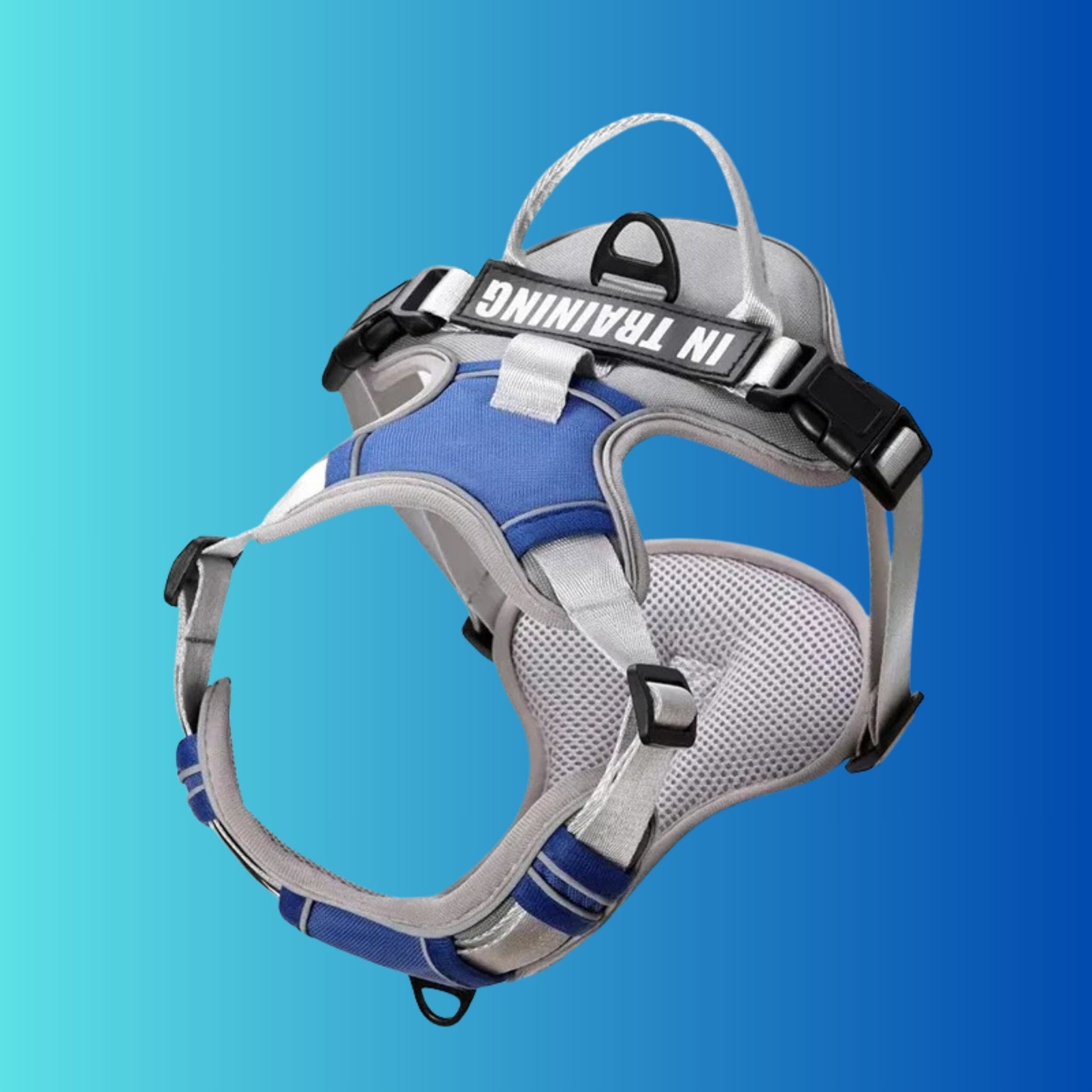 Chien Harnais| Flexipaws™️ - Jolianimaux