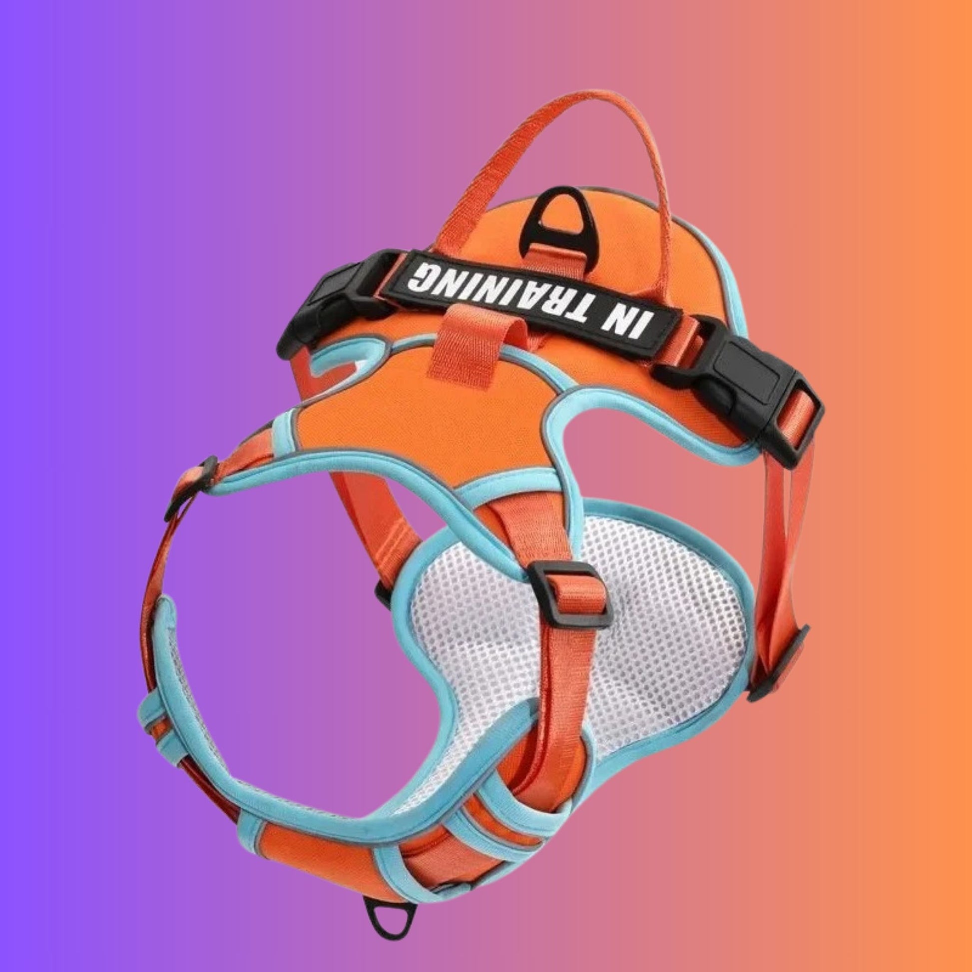 Chien Harnais| Flexipaws™️ - Jolianimaux