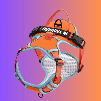 Chien Harnais| Flexipaws™️ - Jolianimaux
