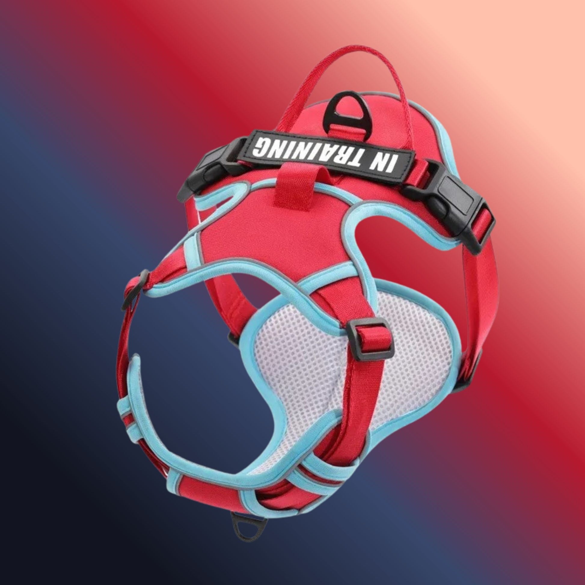 Chien Harnais| Flexipaws™️ - Jolianimaux