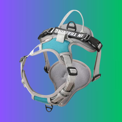 Chien Harnais| Flexipaws™️ - Jolianimaux