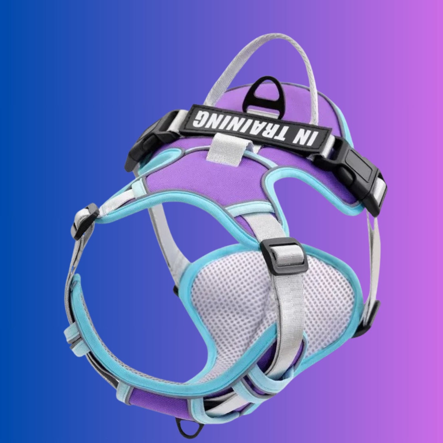 Chien Harnais| Flexipaws™️ - Jolianimaux