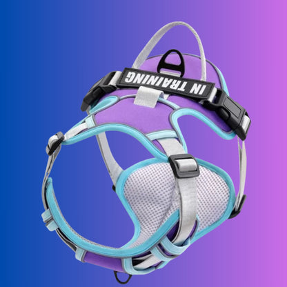 Chien Harnais| Flexipaws™️ - Jolianimaux