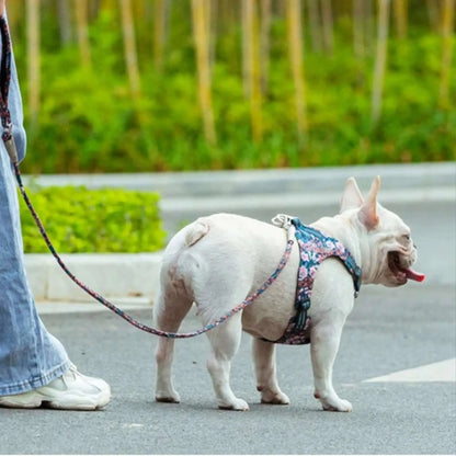 Chien en laisse CaniFil, bouledogue français blanc avec son maitre.