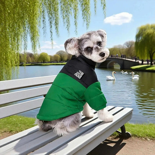 Un schnauzer assis sur un banc de parc près de l'eau, un chien vêtu d'un manteau vert.