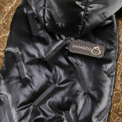 chien manteau couleur noir lustre