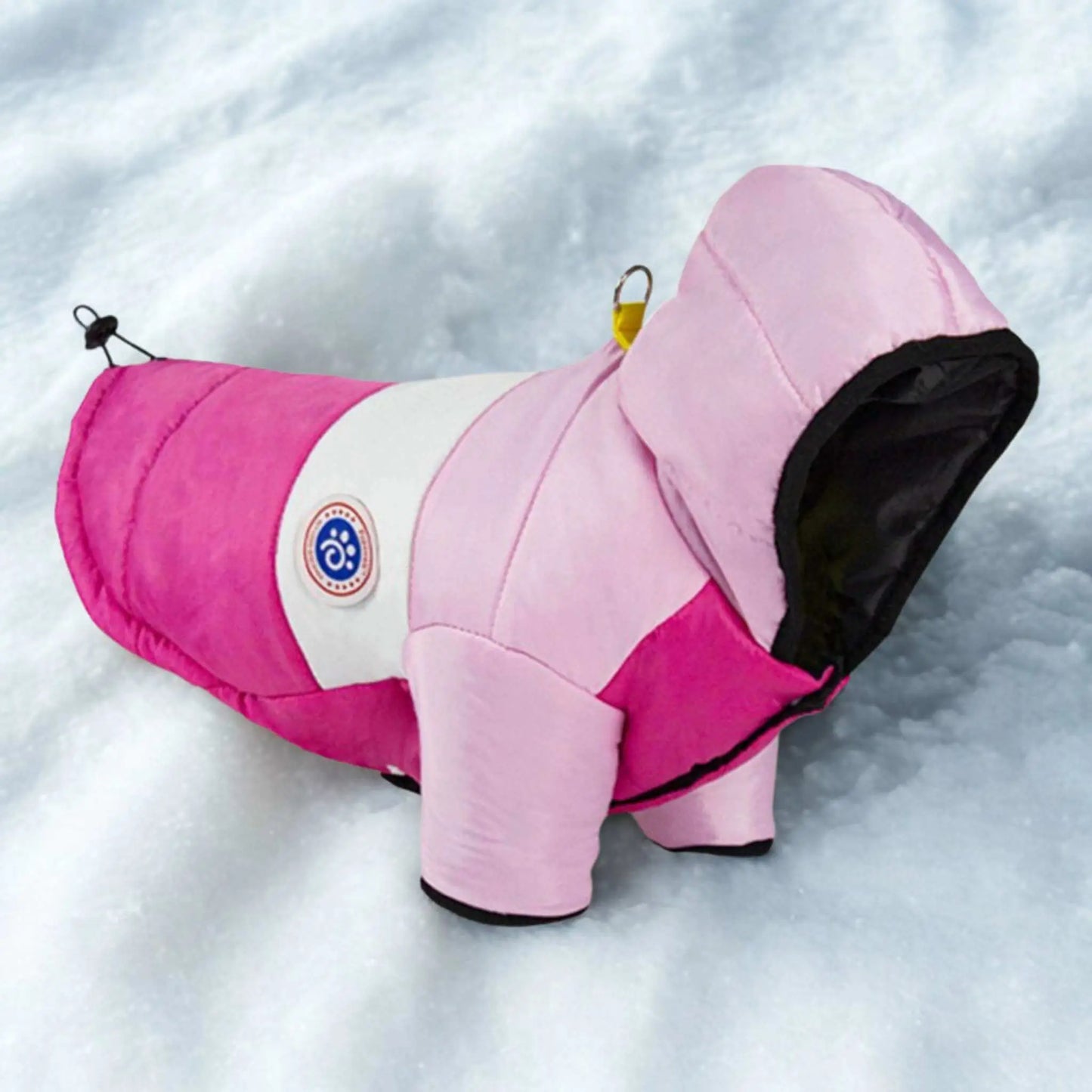 Chien et manteau de couleur rose.