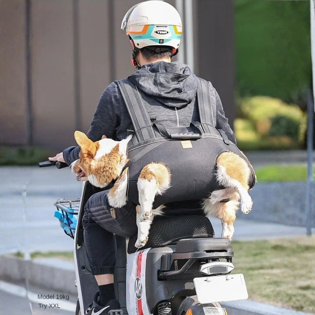 sac de transport chien-caninpack-maitre balade moto-chien dos