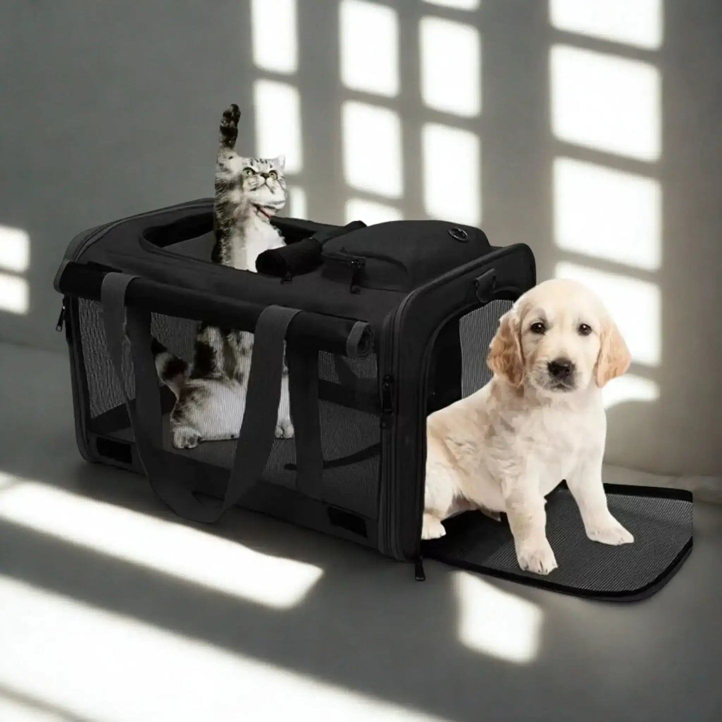 Un chien dans un sac de transport de couleur noire.