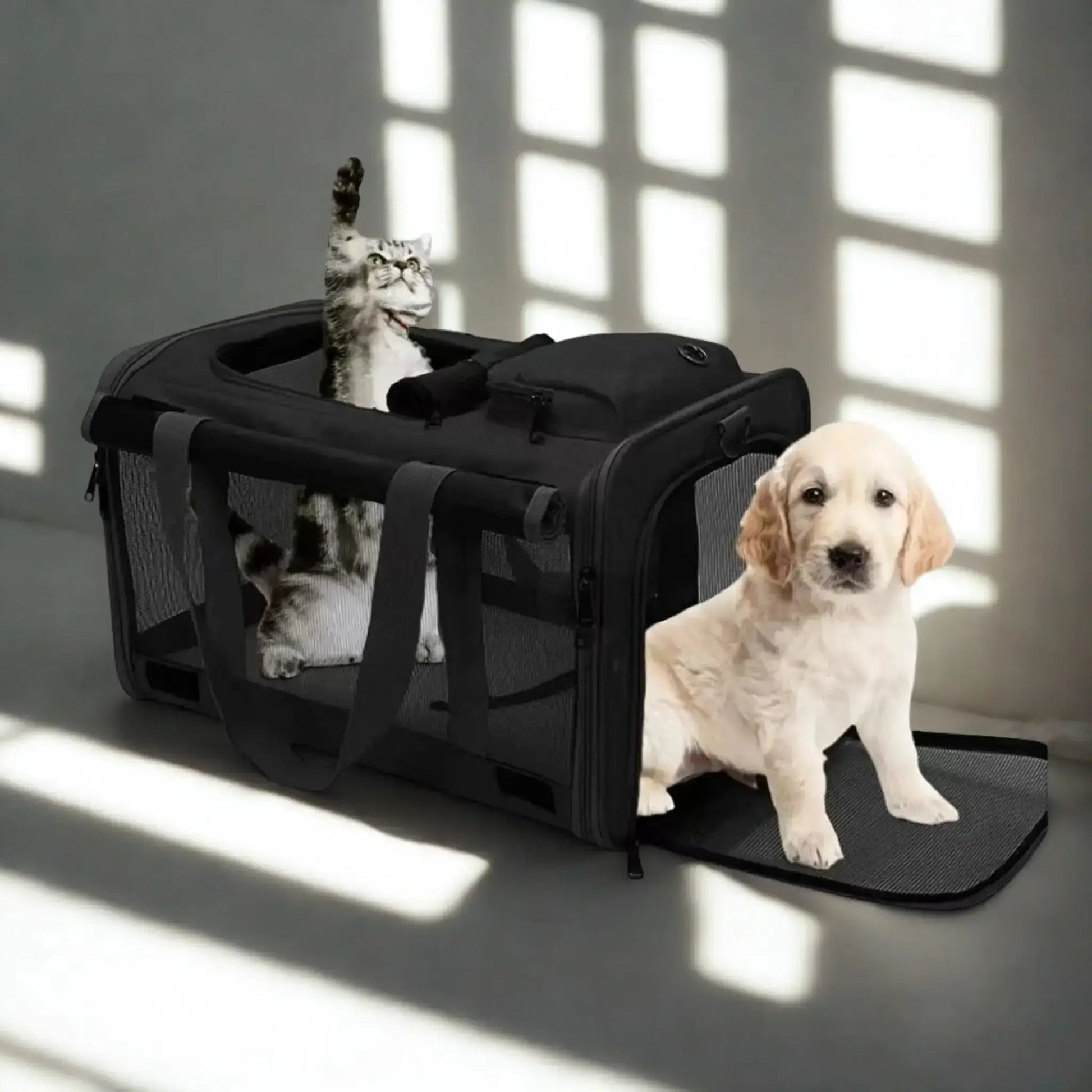 Un chien dans un sac de transport de couleur noire.