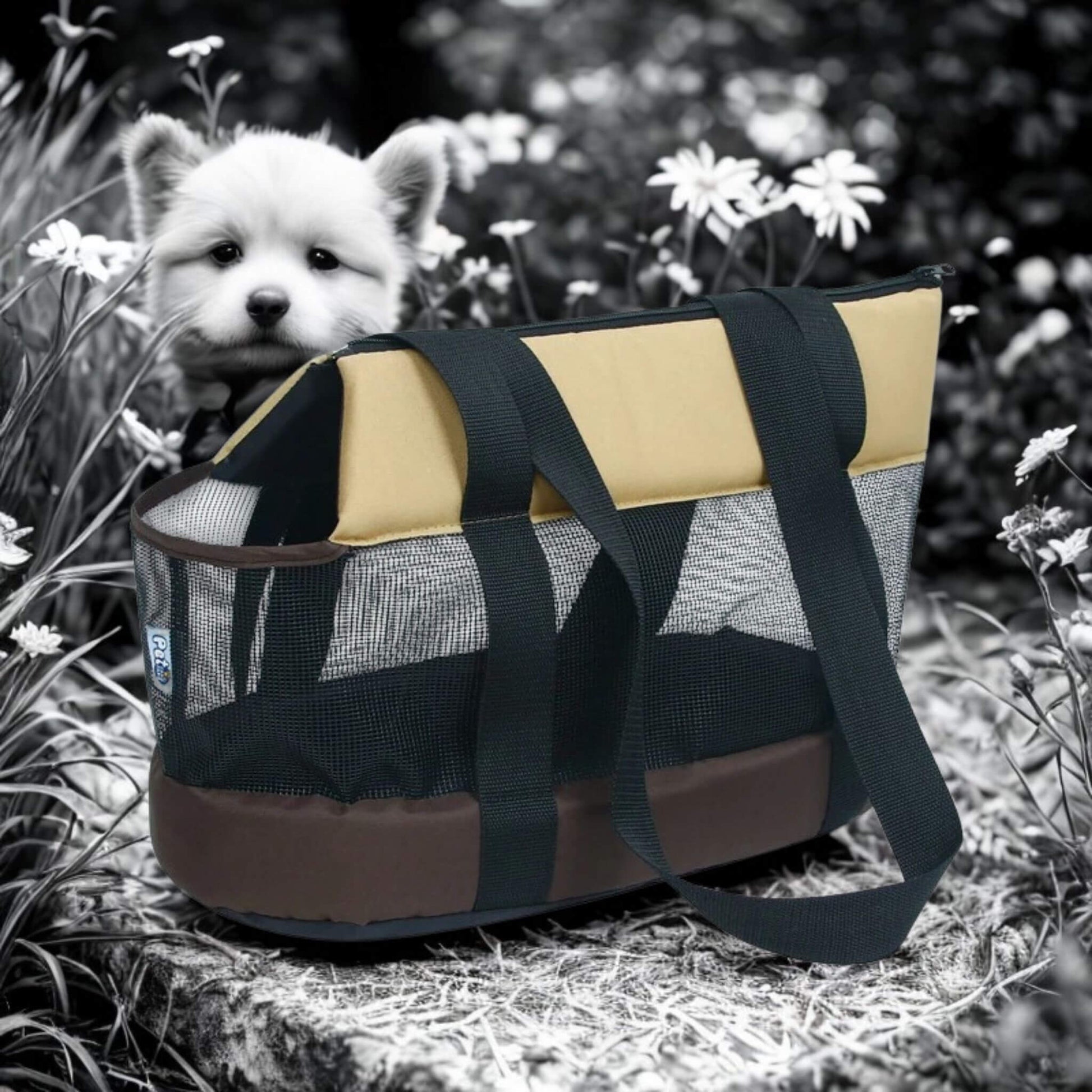 Sac pour porter un chien de couleur café avec un chien en noir et blanc en arrière.