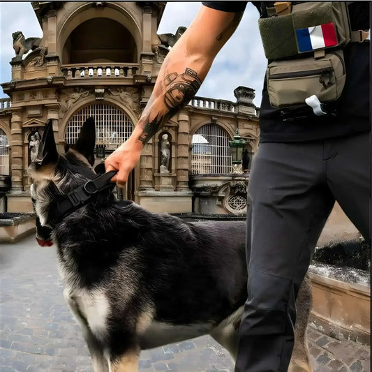 Un militaire tient un berger allemand par la poignée du collier pour chien Chienzy devant un château en France.