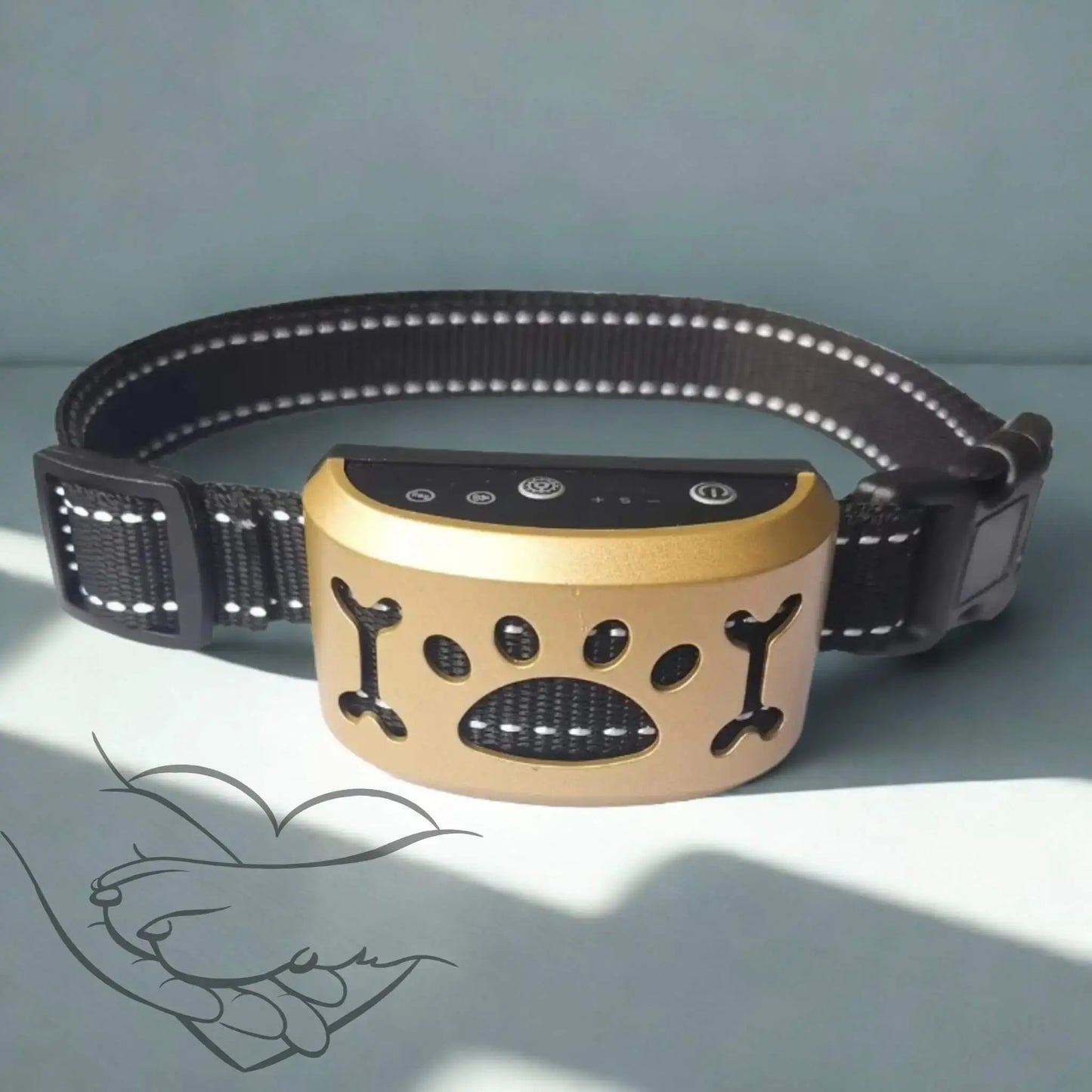 Un collier anti aboiement couleur or.