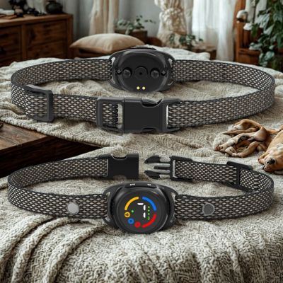 collier anti aboiement petit chien cousin brun cozy