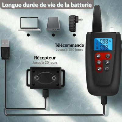collier anti aboiement pour chien batterie longue duree 20 jours