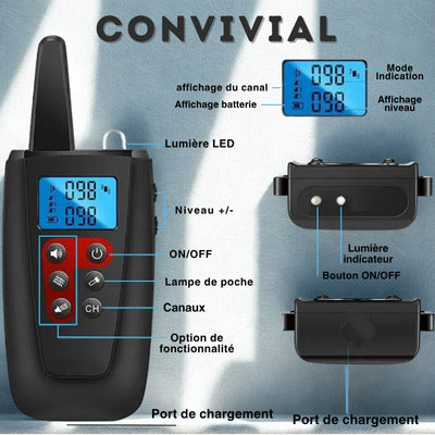 collier anti aboiement pour chien convivial caneaux lampe poche