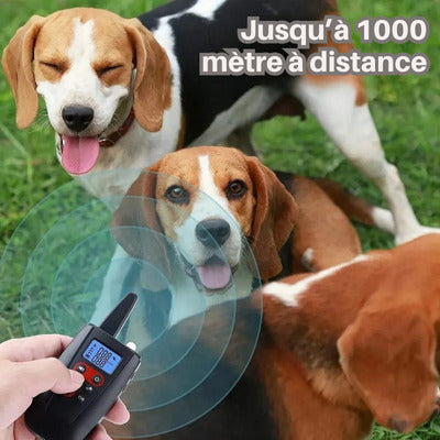 collier anti aboiement pour chien distance 1000 metre telecommande