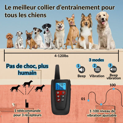 collier anti aboiement pour chien niveau vibration chien jusqu a 120lbs