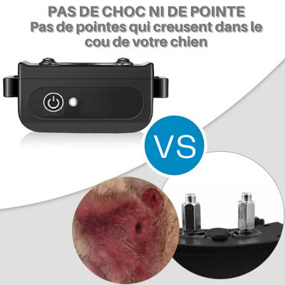 collier anti aboiement pour chien pas choc pas pointe