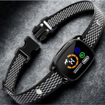 Un collier anti aboiement pour petit chien noir.