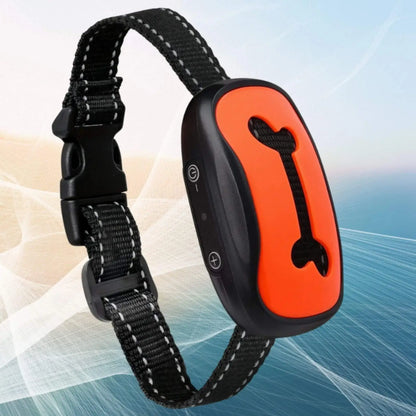 Un collier anti-aboiement pour chien sans choc de couleur orange.