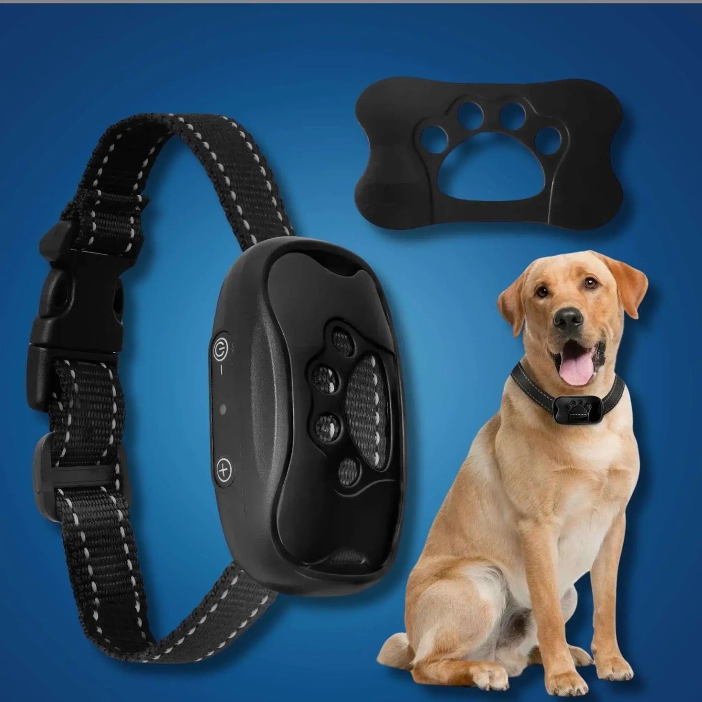 Collier anti aboiement pour chien SilencePet couleur noire avec un labrador.