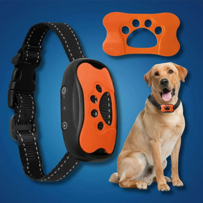Un collier anti-aboiement SilencePet couleur orange avec un labrador.