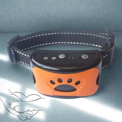Un collier anti aboiement de couleur orange.