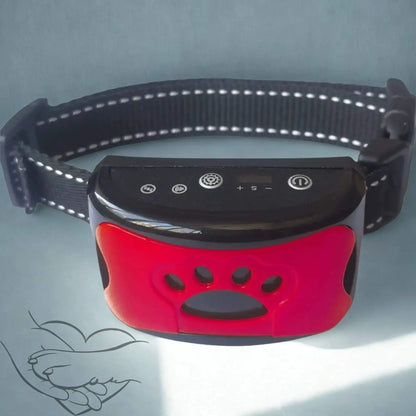 Un collier anti aboiement de couleur rouge.