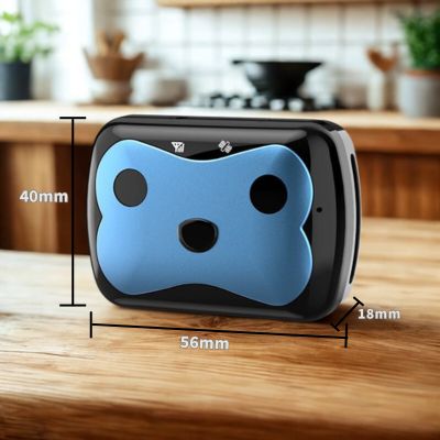 collier anti fugue chien couleur bleu grandeur