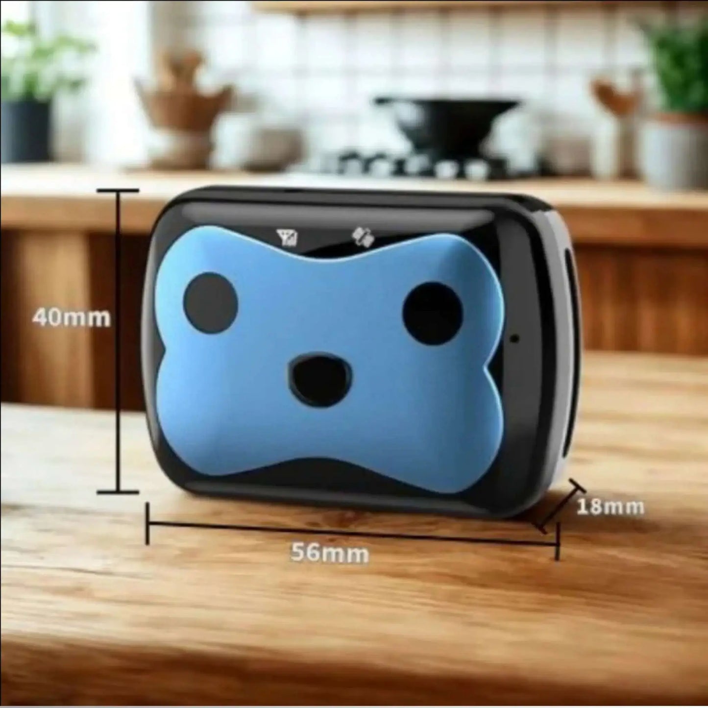 Dispositif anti-fugue pour chien de couleur bleu 