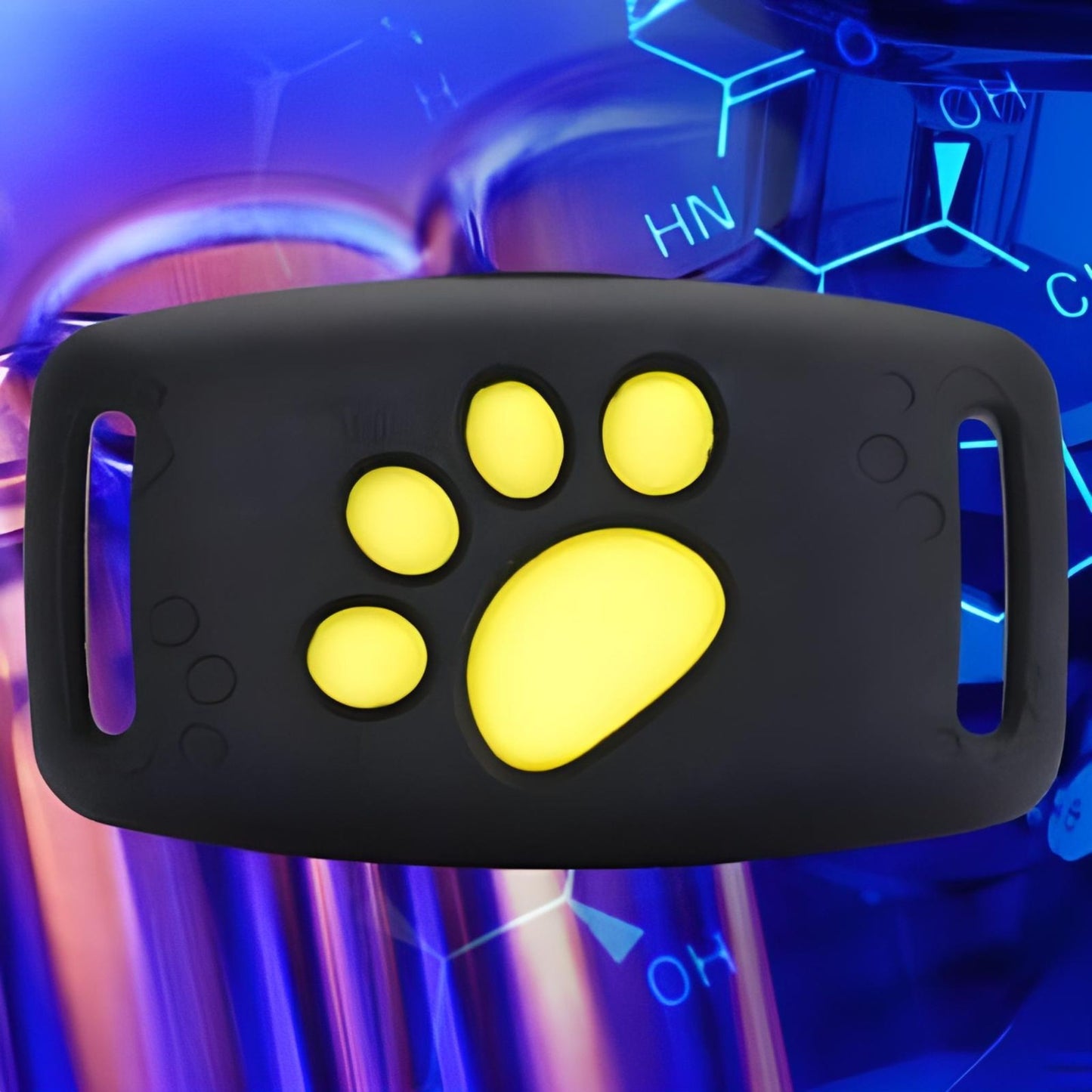 collier anti fugue pour chien-vigillance-couleur noir