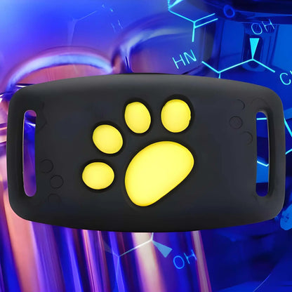 Collier anti-fugue pour chien Vigilance de couleur noire.
