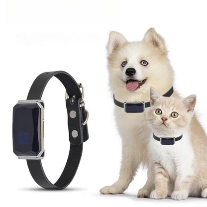 collier anti fugue sans fil-fugstop-chien chat beige