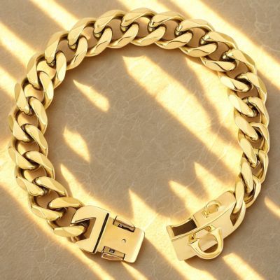 collier chaine chien couleur or