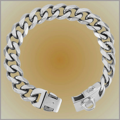Un collier chaine chien couleur argent.