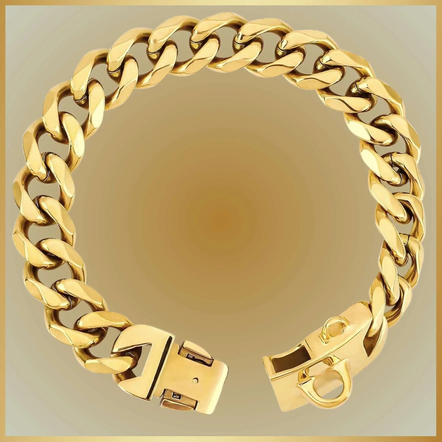 Un collier chaine chien couleur or