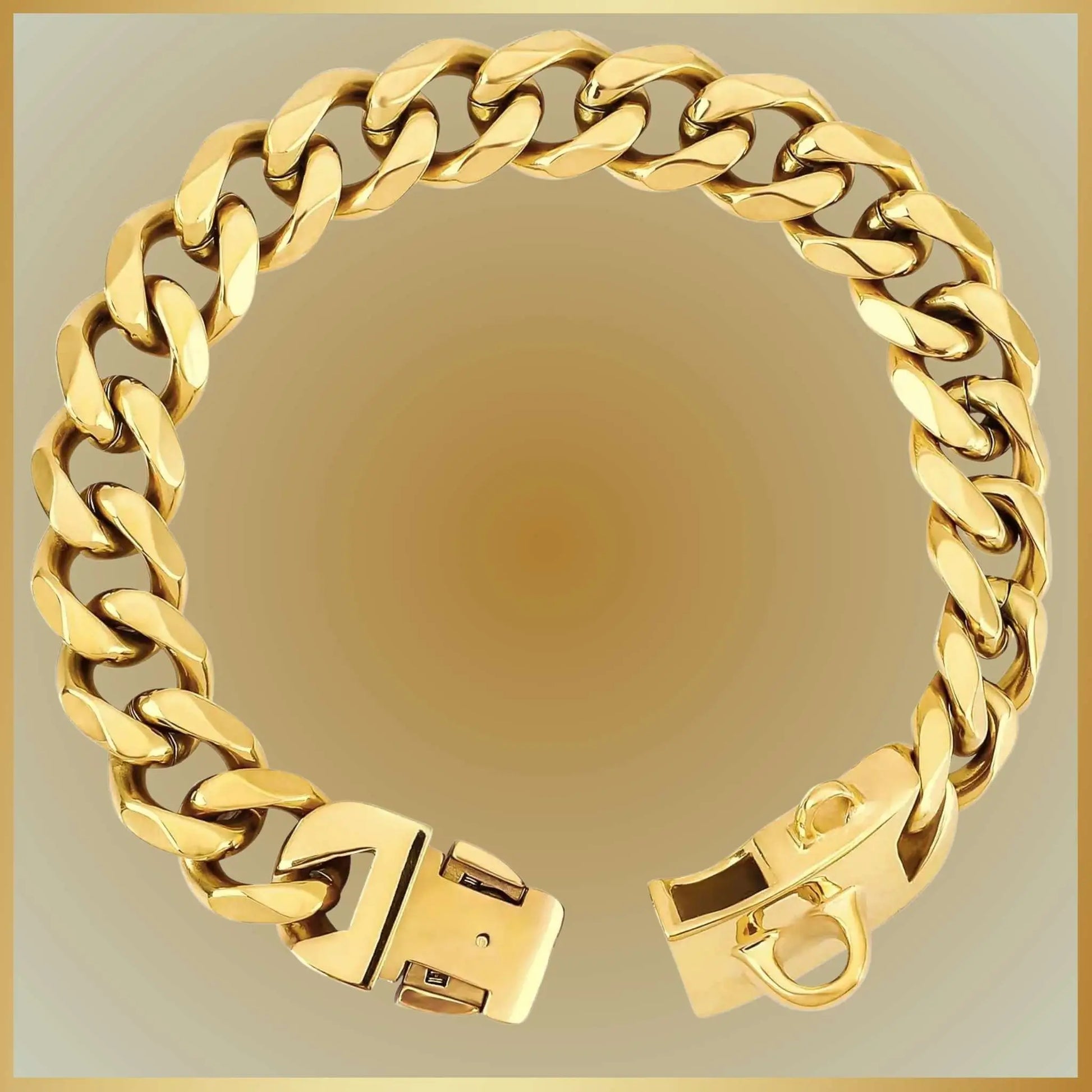 Un collier chaine chien couleur or