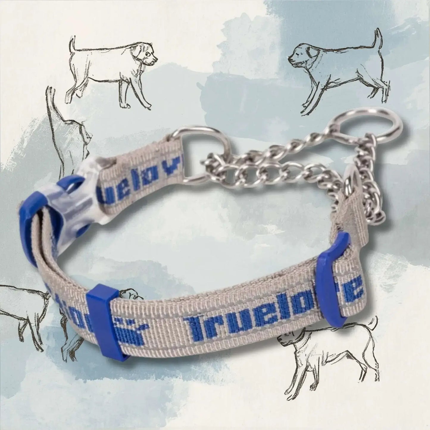 Un collier chaîne pour chien PatteSage de couleur grise avec écriture bleue.