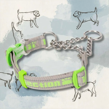 Un collier chaîne pour chien PatteSage de couleur grise avec écriture vert fluo.