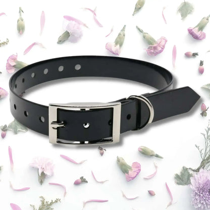 Un collier pour chien de couleur noire.